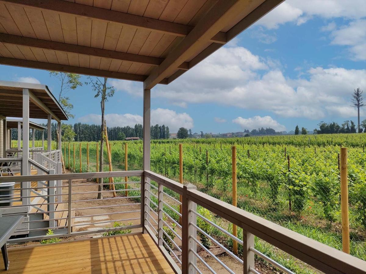 Garda Di Vino Agricamping & Wine Shop Lazise Ronchi  Zewnętrze zdjęcie